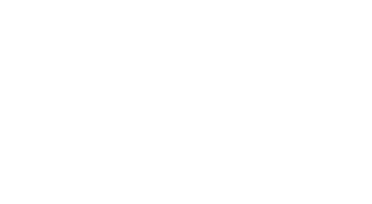 VEYRON CARE